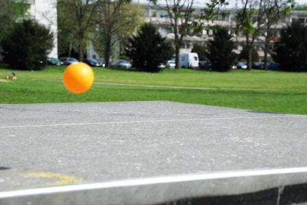im-sportverein