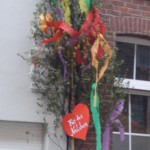 maibaeume-koeln-03