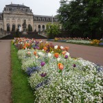 Fulda Bepflanzung im Schloßpark