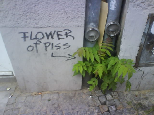flower-of-piss